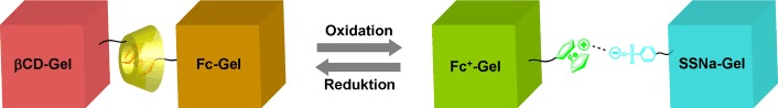 Redox-Responsive Macroscopic Gel Assembly Based on Discrete Dual Interactions
