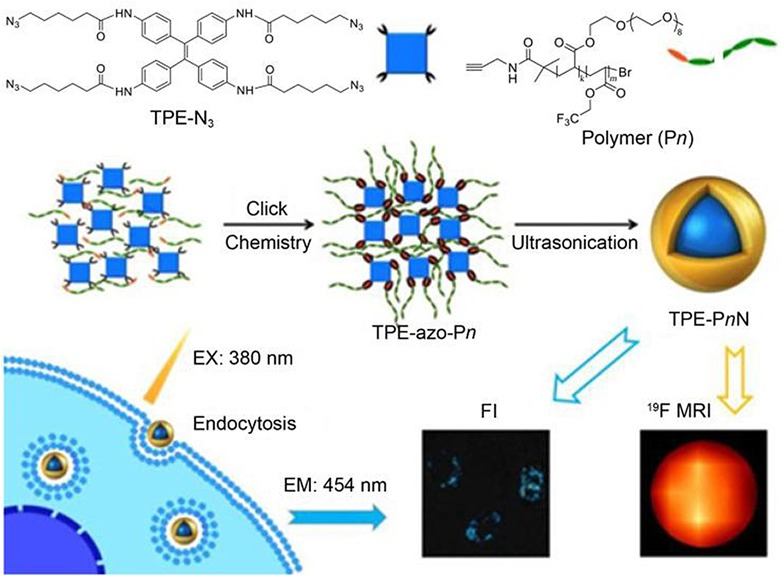 Organic Nanoprobes for Fluorescence and 19F Magnetic Resonance Dual-Modality Imaging