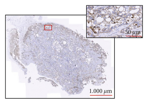 Details are in the caption following the image