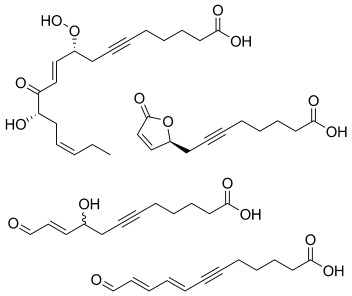 Neue acetylenische Oxylipine mit fraßhemmenden Eigenschaften gegen herbivore Schnecken aus dem Moos Dicranum scoparium