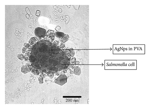 Details are in the caption following the image