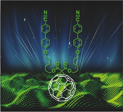 Asymmetric Fullerene Nanosurfactant: Interface Engineering for Automatic Molecular Alignments