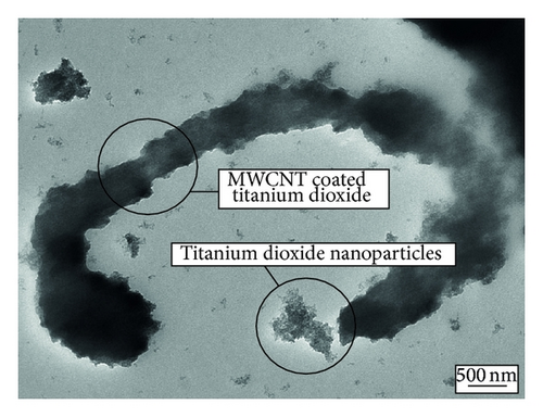 Details are in the caption following the image