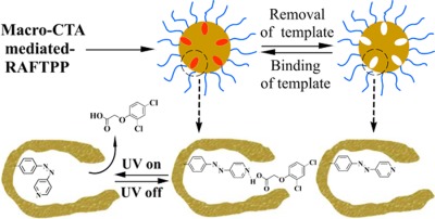 Efficient one-pot synthesis of water-compatible and photoresponsive molecularly imprinted polymer nanoparticles by facile RAFT precipitation polymerization