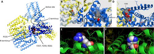 Details are in the caption following the image Details are in the caption following the image
