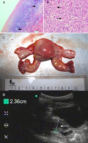 Details are in the caption following the image Details are in the caption following the image