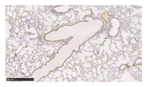 Details are in the caption following the image