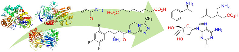 Biocatalysis: Enzymatic Synthesis for Industrial Applications
