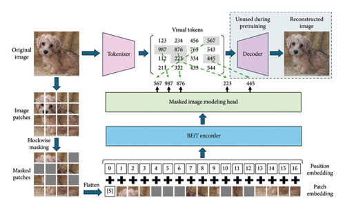 Details are in the caption following the image Details are in the caption following the image