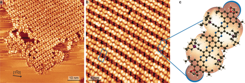 Details are in the caption following the image Details are in the caption following the image
