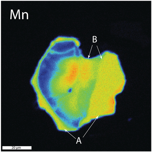 Details are in the caption following the image