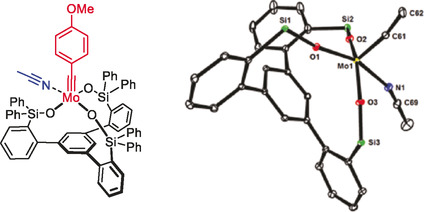 Molybdenum Alkylidyne Complexes with Tripodal Silanolate Ligands: The Next Generation of Alkyne Metathesis Catalysts