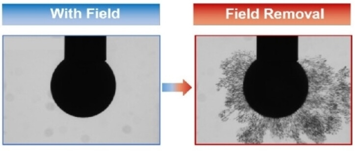 Oversaturating Liquid Interfaces with Nanoparticle-Surfactants
