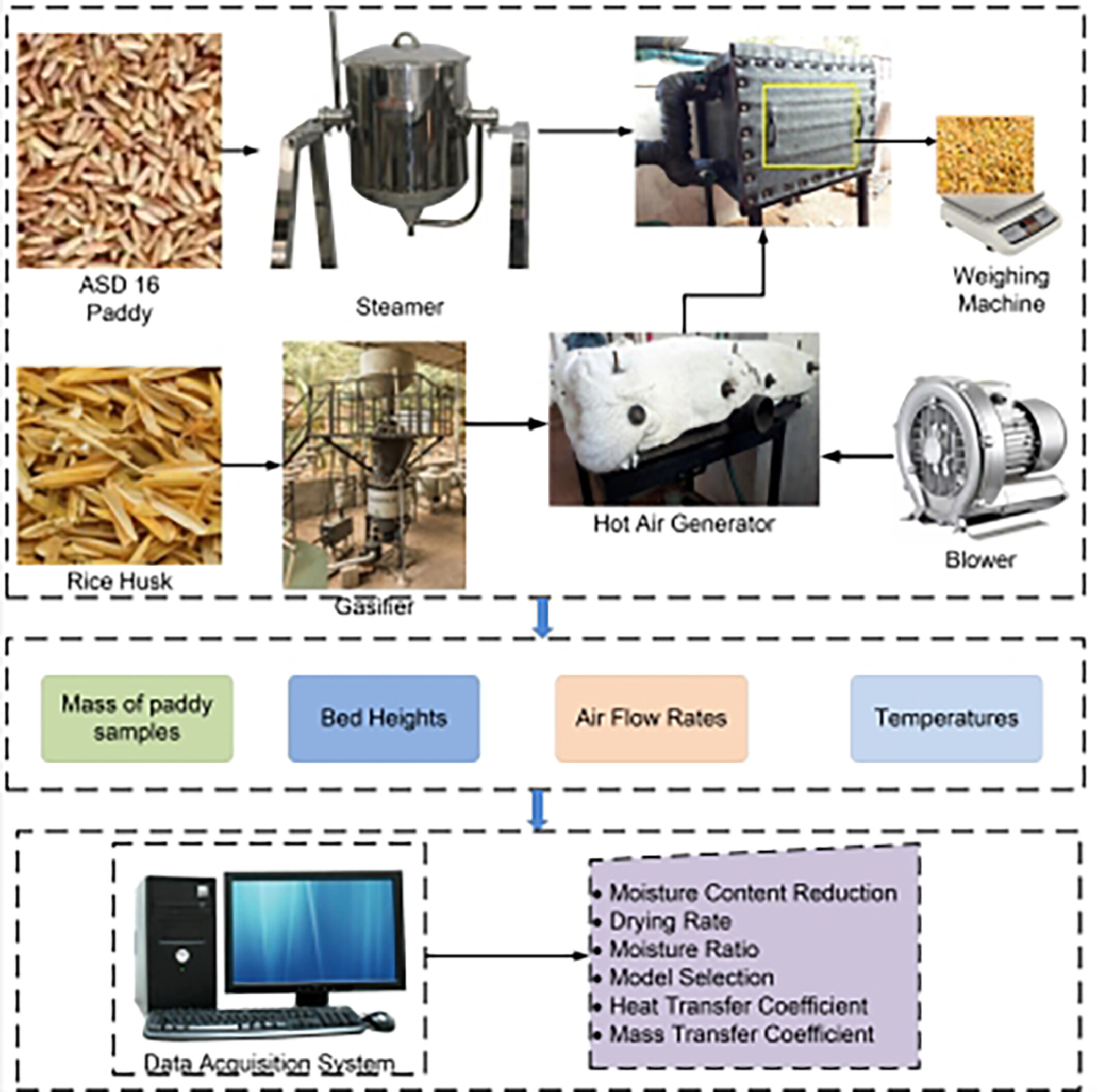 Deep-bed drying kinetics and thermodynamic parameters of high-moisture parboiled paddy (ASD-16) in a reversible airflow fixed bed dryer