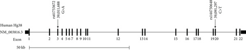 Details are in the caption following the image