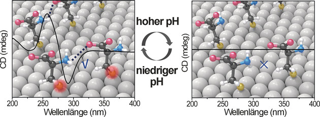 Interband Absorption Enhanced Optical Activity in Discrete Au@Ag Core–Shell Nanocuboids: Probing Extended Helical Conformation of Chemisorbed Cysteine Molecules
