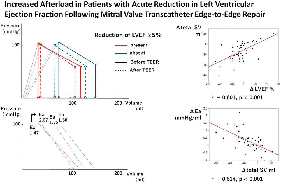 Increased Afterload in Patients With Acute Reduction in Left Ventricular Ejection Fraction Following Mitral Valve Transcatheter Edge-to-Edge Repair