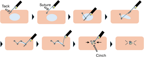 Details are in the caption following the image Details are in the caption following the image