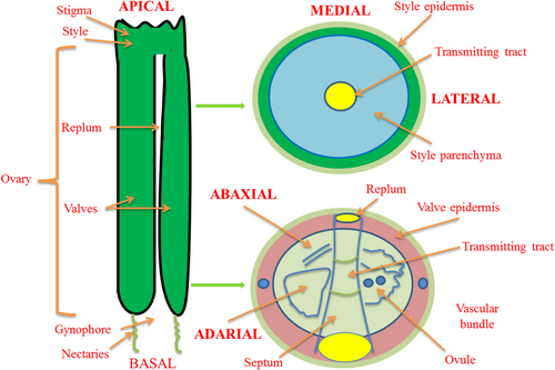 Details are in the caption following the image Details are in the caption following the image