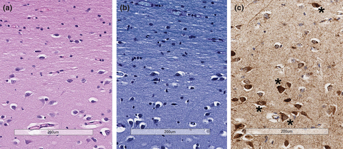 Details are in the caption following the image Details are in the caption following the image