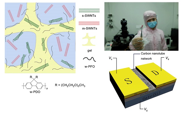Sorting Semiconducting Single-Walled Carbon Nanotubes by Water-Soluble Polyfluorene Assisted Electrophoresis and Its Application in Field-effect Transistors