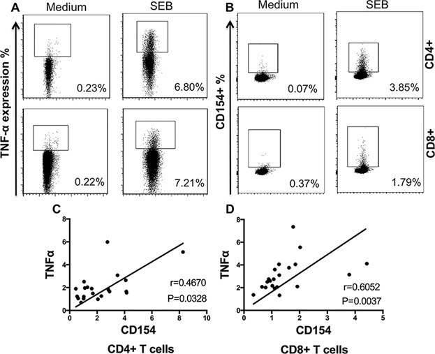 T cells responding to Trypanosoma cruzi detected by membrane TNF-α and CD154 in chagasic patients