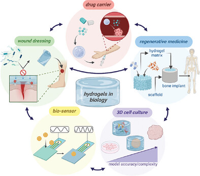 Biomimetic Hydrogels – Tools for Regenerative Medicine, Oncology, and Understanding Medical Gas Plasma Therapy