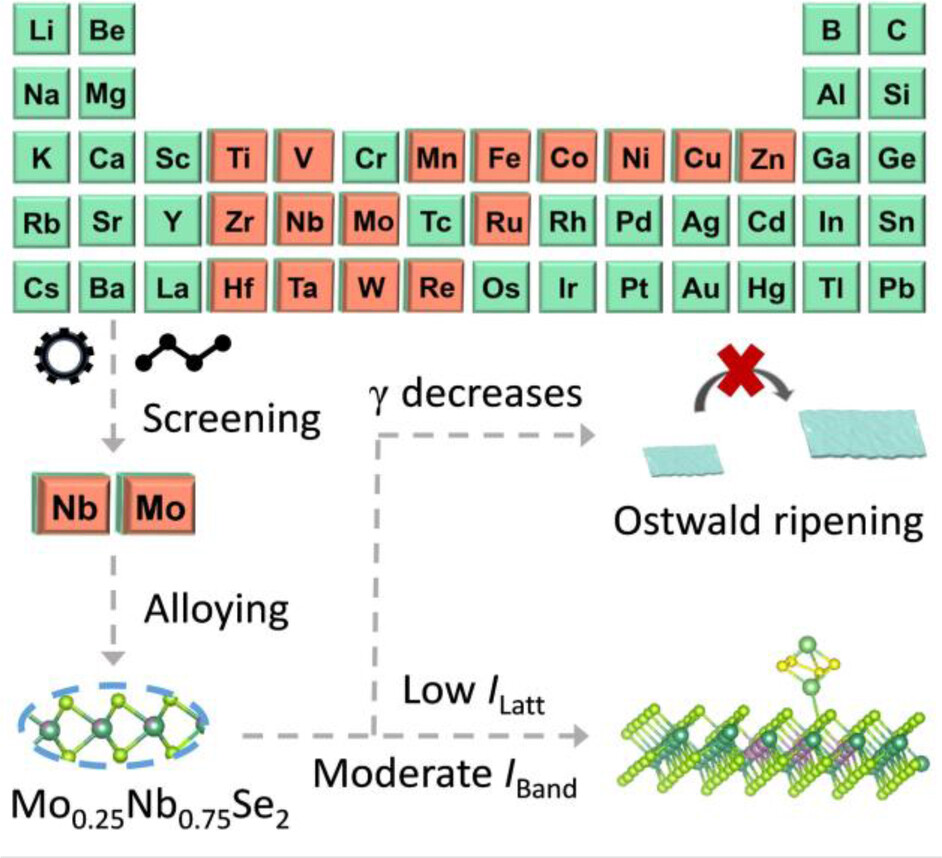 Alloying Strategy Regulating Size and Electronic Structure of Mo0.25Nb0.75Se2 to Achieve High-Performance Lithium−Sulfur Batteries