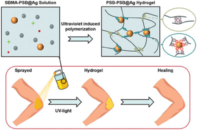 Sprayable Zwitterionic Antibacterial Hydrogel With High Mechanical Resilience and Robust Adhesion for Joint Wound Treatment