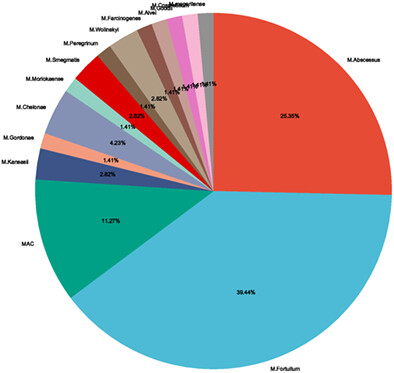 Non-Tuberculosis Mycobacterium Periprosthetic Joint Infections Following Total Hip and Knee Arthroplasty: Case Series and Review of the Literature