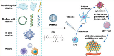 Hyperbranched Polymer-Based Vaccines for Cancer Immunotherapy