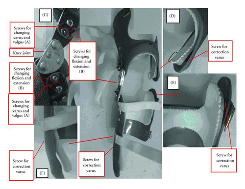 Details are in the caption following the image Details are in the caption following the image