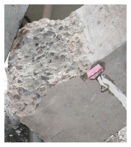 Details are in the caption following the image Details are in the caption following the image