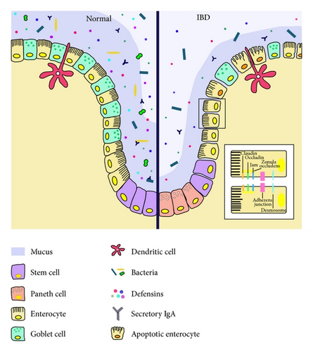 Details are in the caption following the image