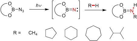 Metal-Free Conversion of Methane and Cycloalkanes to Amines and Amides by Employing a Borylnitrene