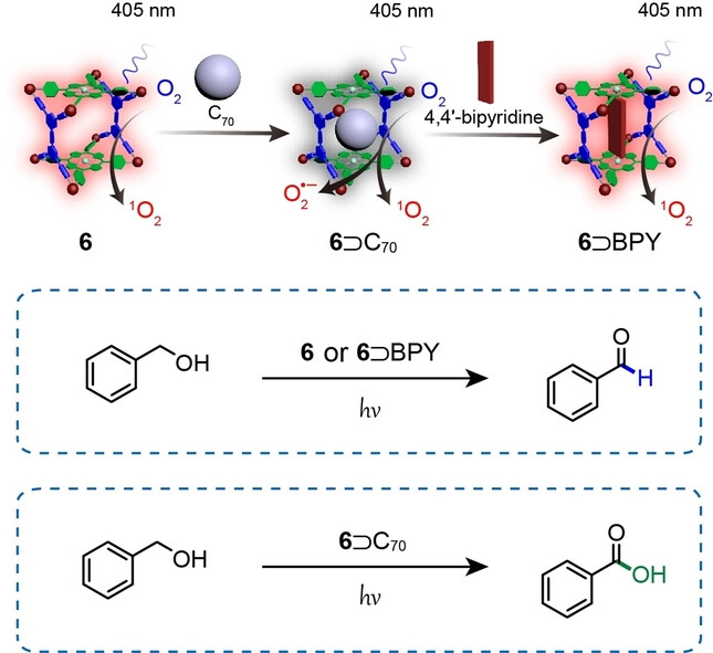 Guest-Regulated Generation of Reactive Oxygen Species from Porphyrin-Based Multicomponent Metallacages for Selective Photocatalysis