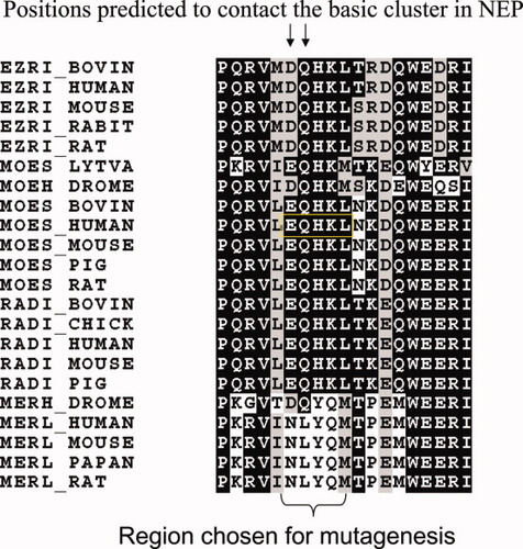 Details are in the caption following the image Details are in the caption following the image