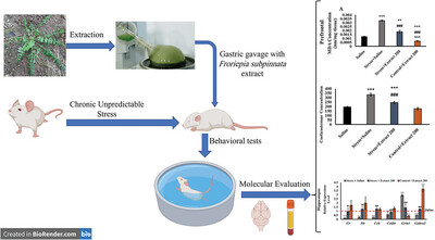 Antidepressant- and Anxiolytic-Like Effect of the Froriepia subpinnata Extract in the Rat: Neurochemical Correlates