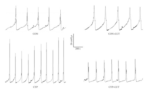 Details are in the caption following the image Details are in the caption following the image