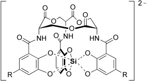 Die E.-coli-Siderophore Enterobactin und Salmochelin bilden sechsfach koordinierte Siliciumkomplexe bei physiologischen pH-Werten