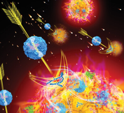 One-Pot Controllable Assembly of a Baicalin-Condensed Aptamer Nanodrug for Synergistic Anti-Obesity