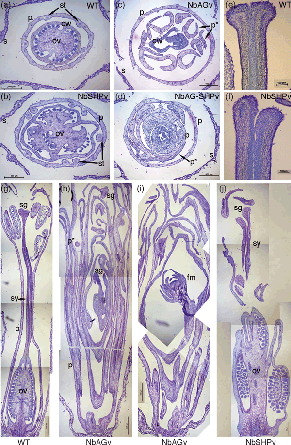 Details are in the caption following the image Details are in the caption following the image
