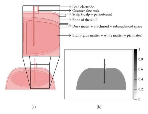 Details are in the caption following the image