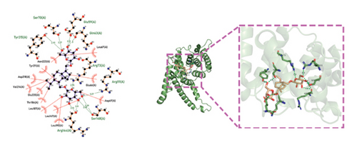Details are in the caption following the image Details are in the caption following the image