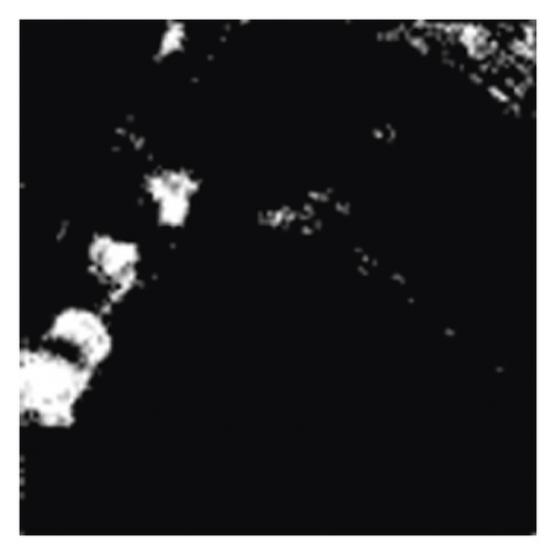 Details are in the caption following the image