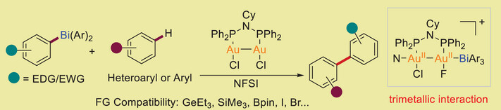 Gold and Bismuth Trimetallic Synergistic Redox Catalysis for Non-Directed C─H Arylation with Aryl Bismuth