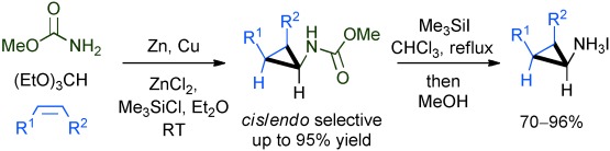A Rapid Route to Aminocyclopropanes via Carbamatoorganozinc Carbenoids