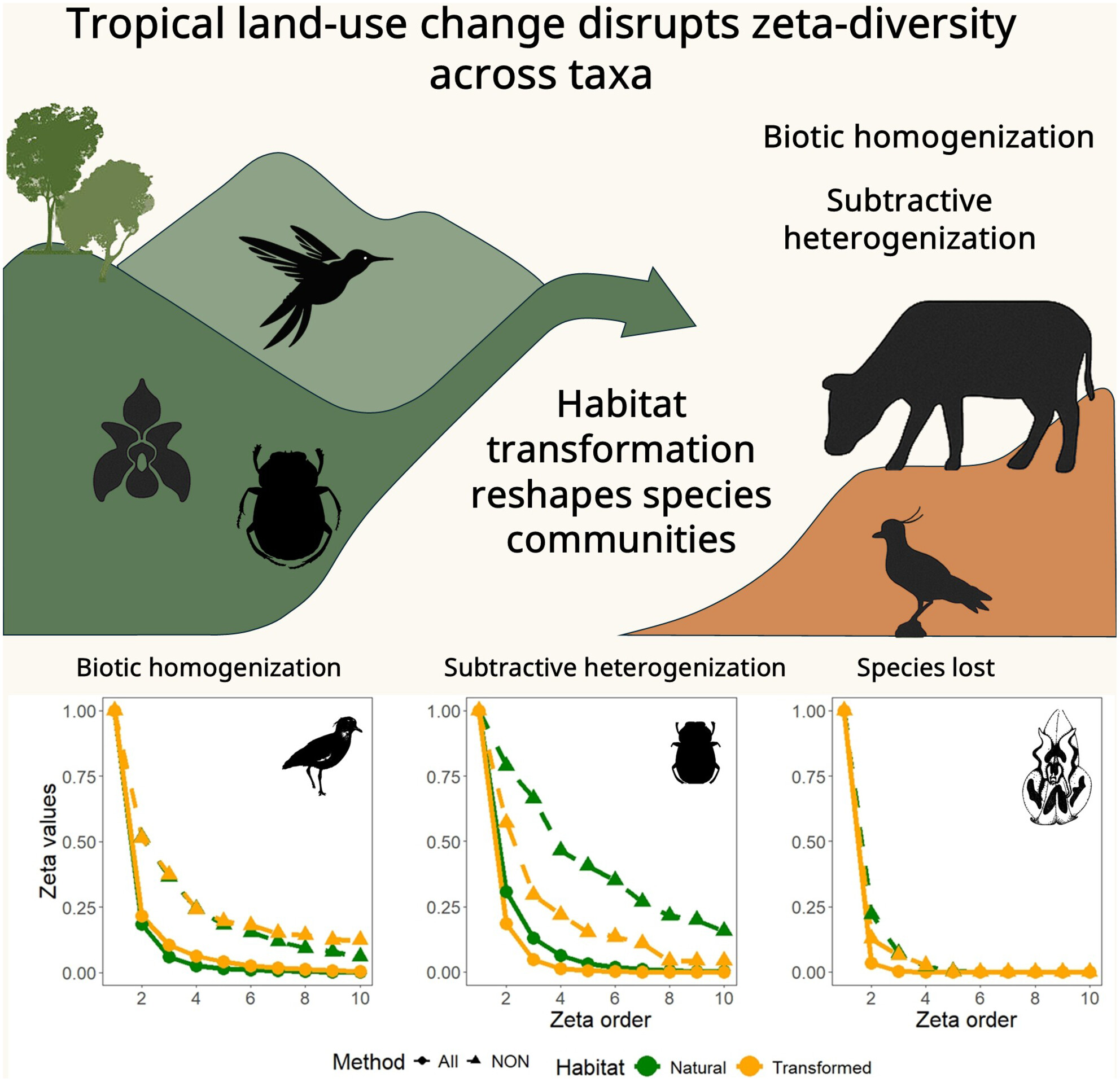 Tropical Land-Use Change Disrupts Zeta-Diversity Across Taxa