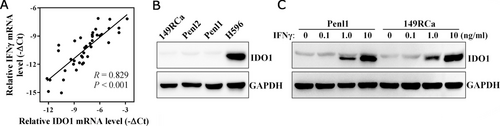 Details are in the caption following the image