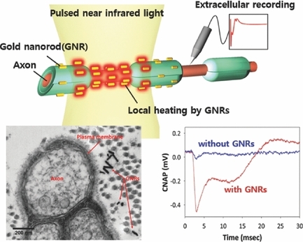 Enhanced Infrared Neural Stimulation using Localized Surface Plasmon Resonance of Gold Nanorods